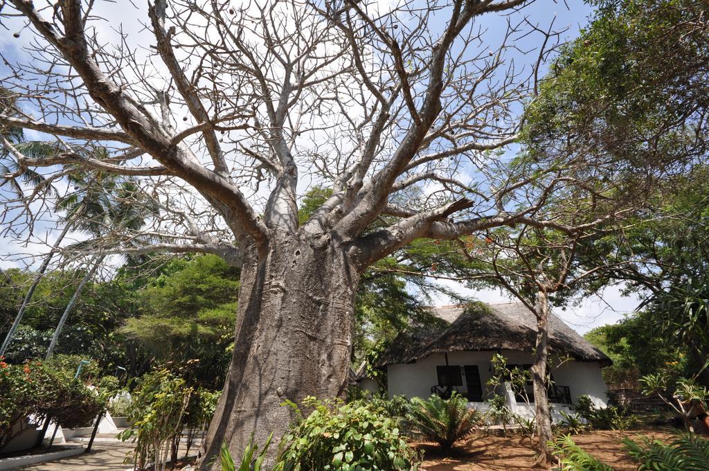 Baobab Sea Lodge Kilifi Exterior foto